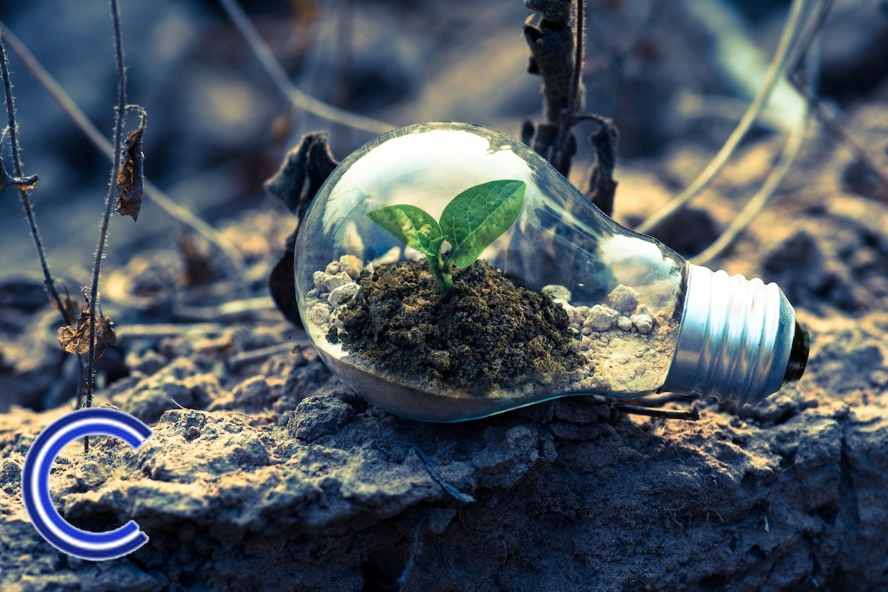 Comment réduire l'impact environnemental d'une entreprise ?