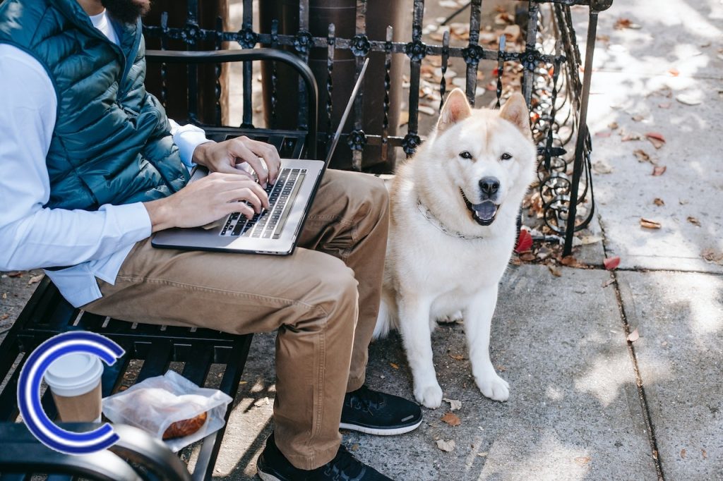 chien accompagnant un salarié au travail