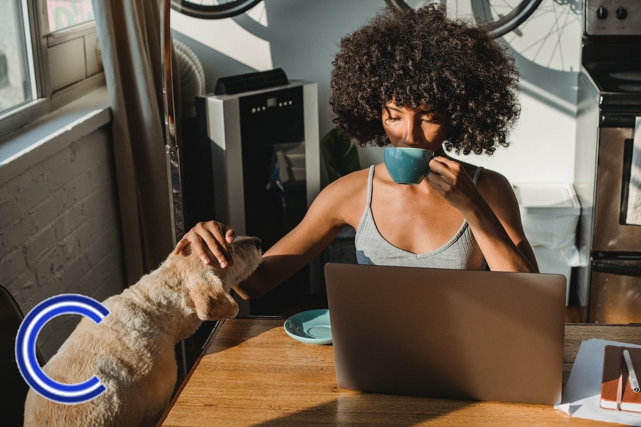 Est-il possible d'amener son animal de compagnie au travail ?