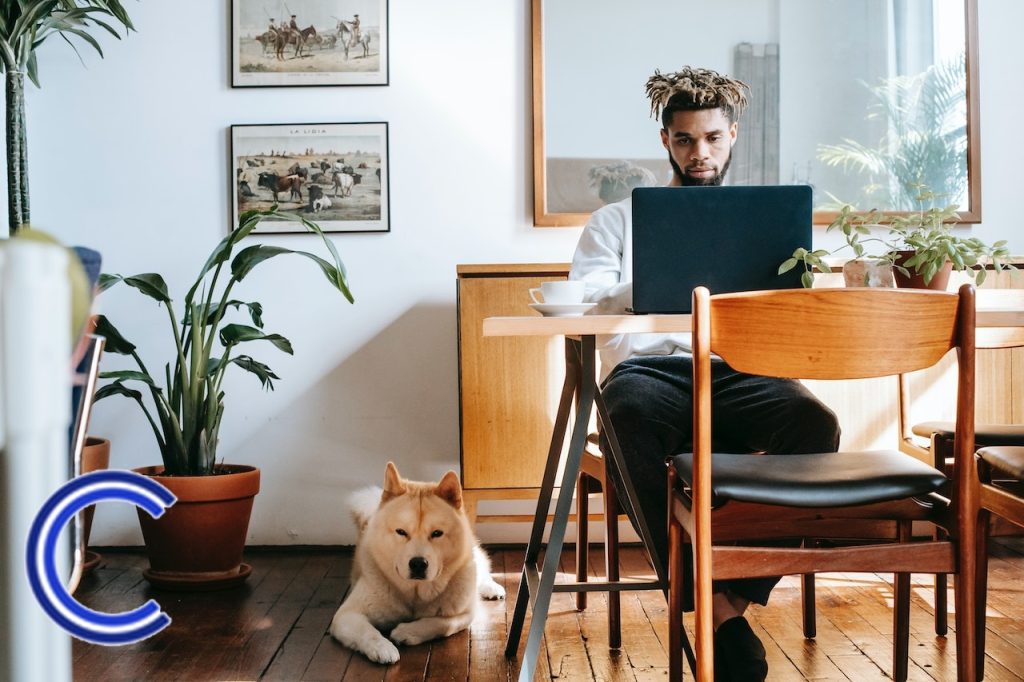 amener son animal de compagnie au bureau pour travailler