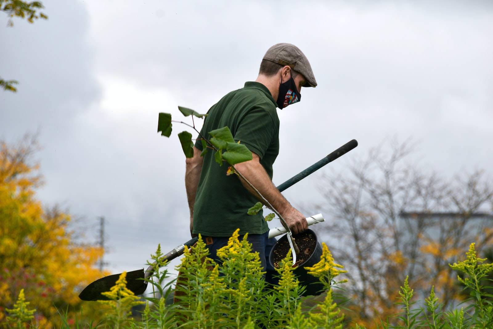 Lettre de motivation jardinier : modèle et guide de rédaction