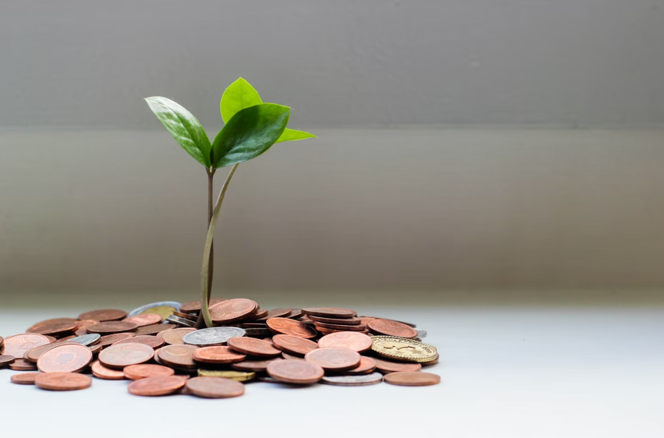 Nos 5 idées pour avoir un complément de revenus
