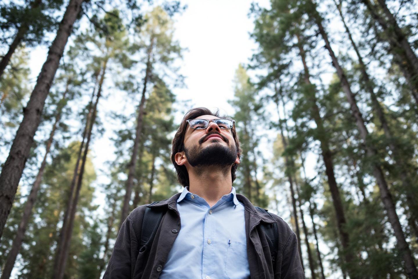 Homme &agrave; lunettes regardant les arbres dans un bois verdoyant