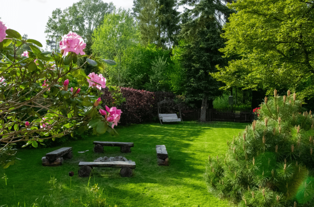 jardin design