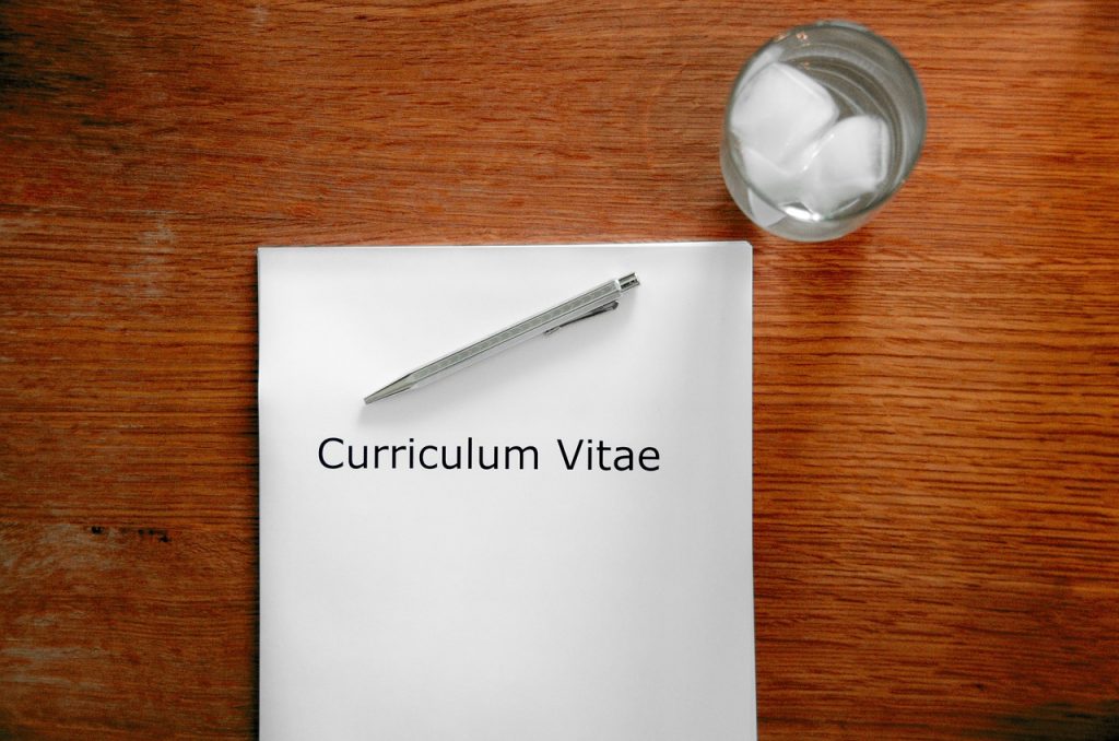 CV professionnel