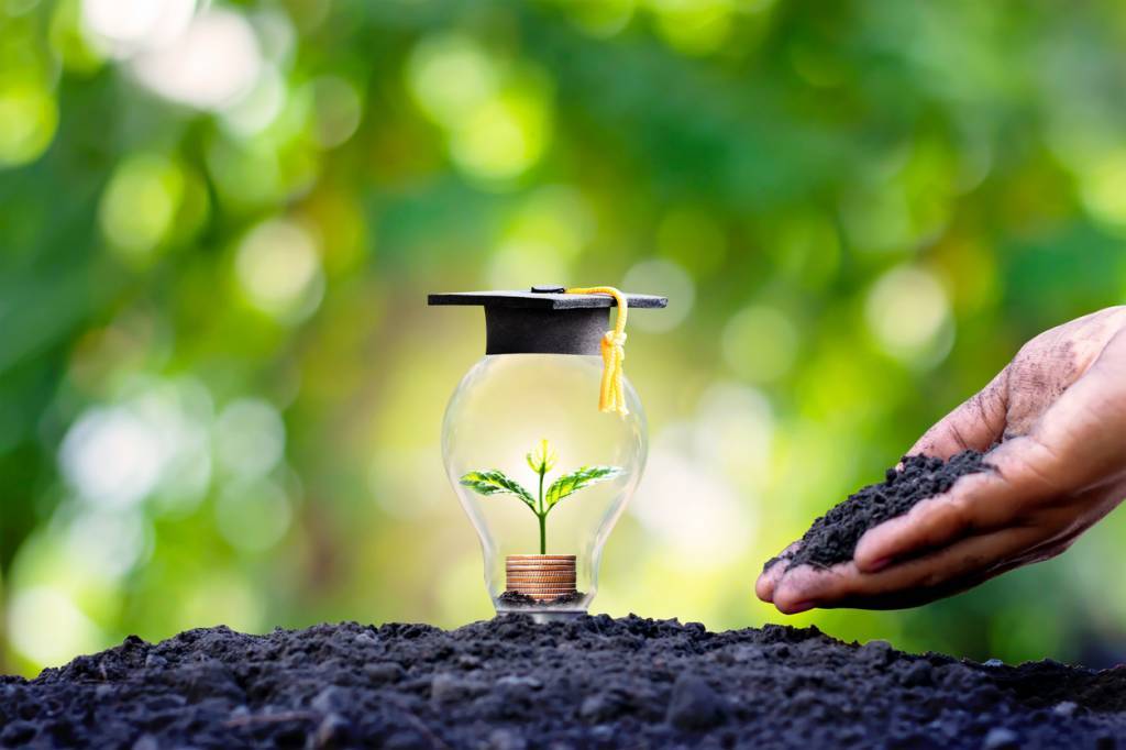 étudier développement durable