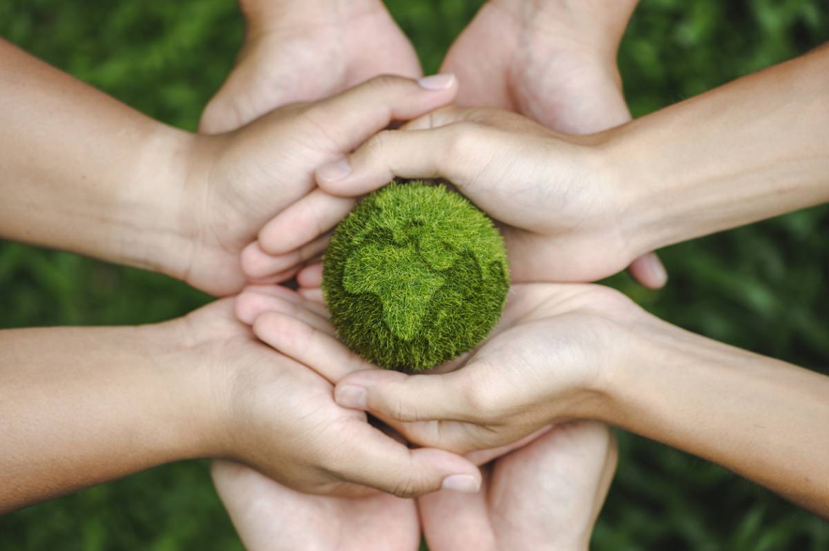 Vers un avenir plus vert : les avantages d'étudier le développement durable