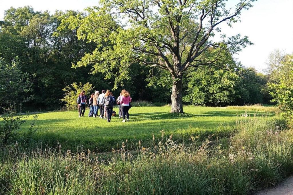 Lyon est-elle dans le sud ? Facultés et établissements Lyon sud et est